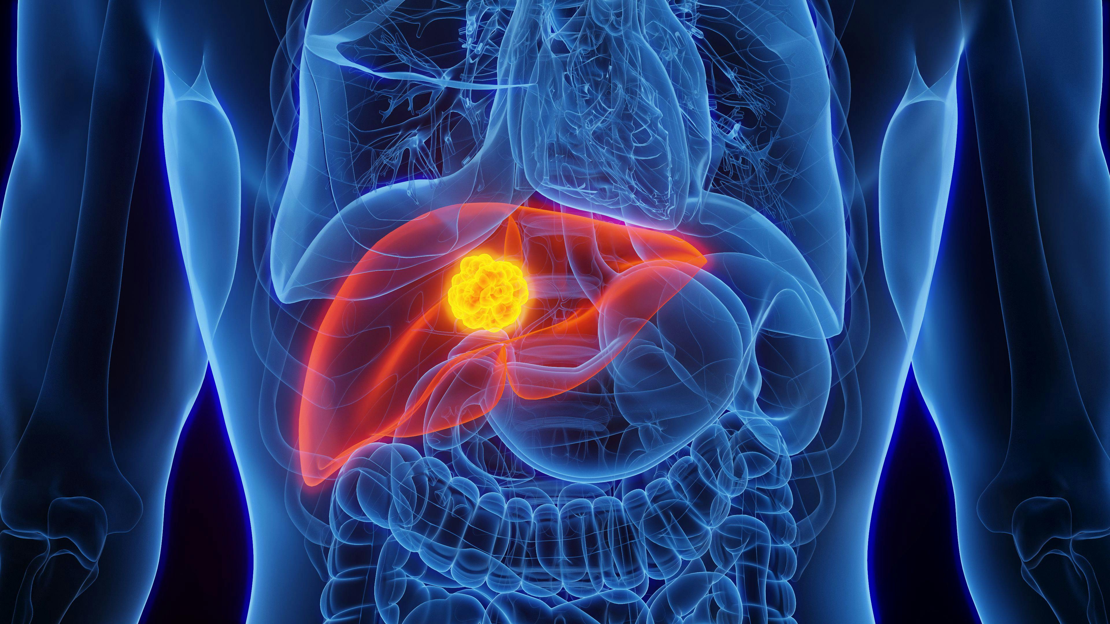 3D rendering of human liver: ©SciePro - stock.adobe.com