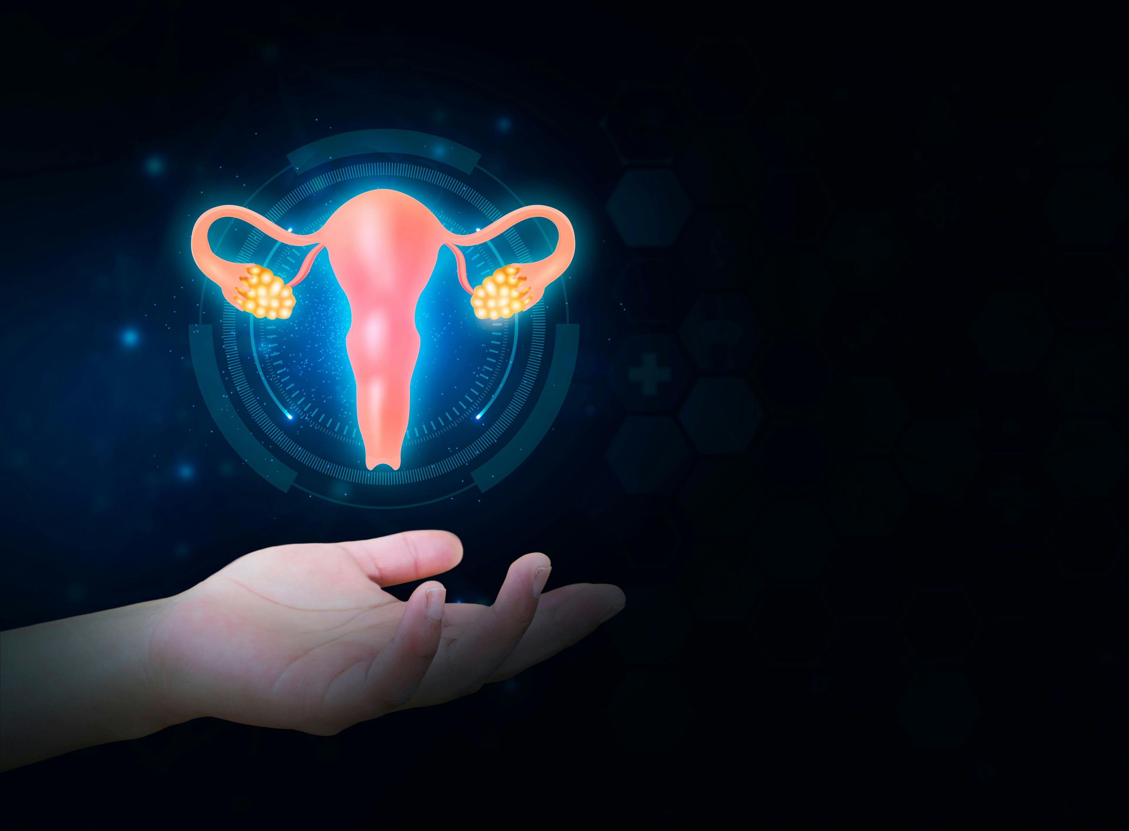 3D rendering of gynecologic cancer: © tom - stock.adobe.com