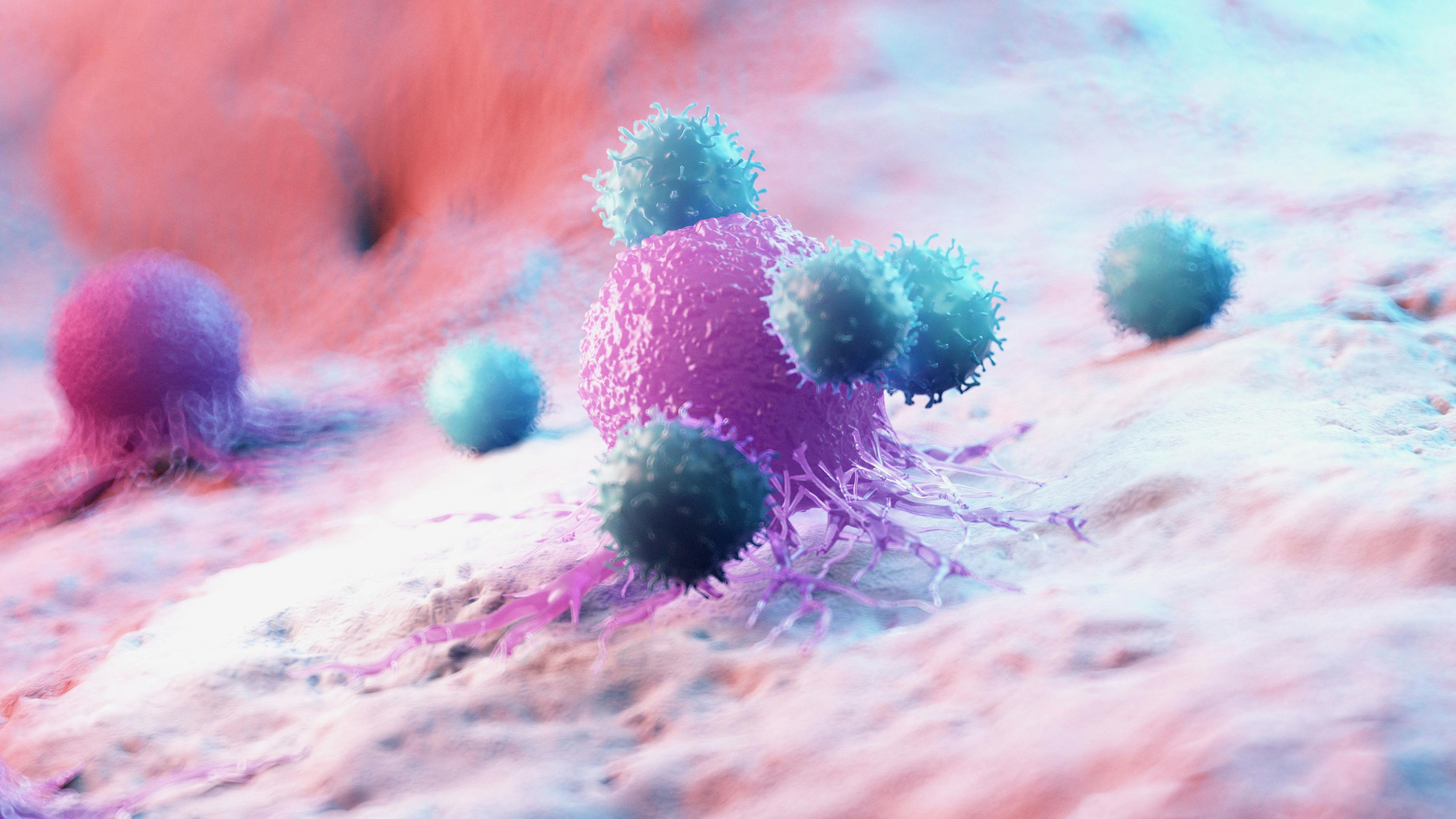 3d rendered medically accurate illustration of leukocytes attacking a cancer cell | © Image Credit: SciePro - www.stock.adobe.com