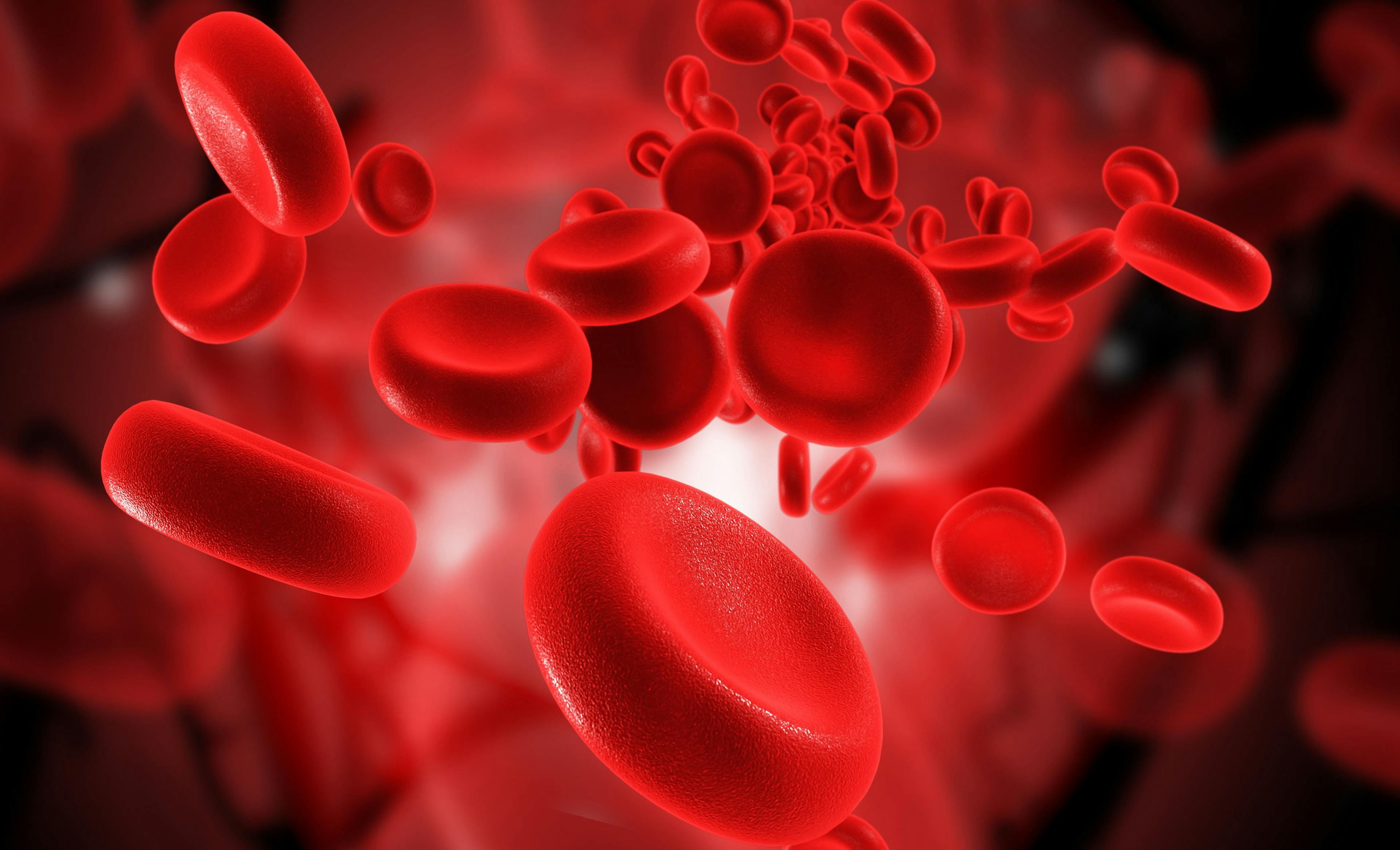 blood cells| Image Credit: © abhijith3747 - www.stock.adobe.com