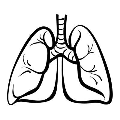 Research on Molecular Mutations Guides Use of Targeted Therapies in Lung Cancer