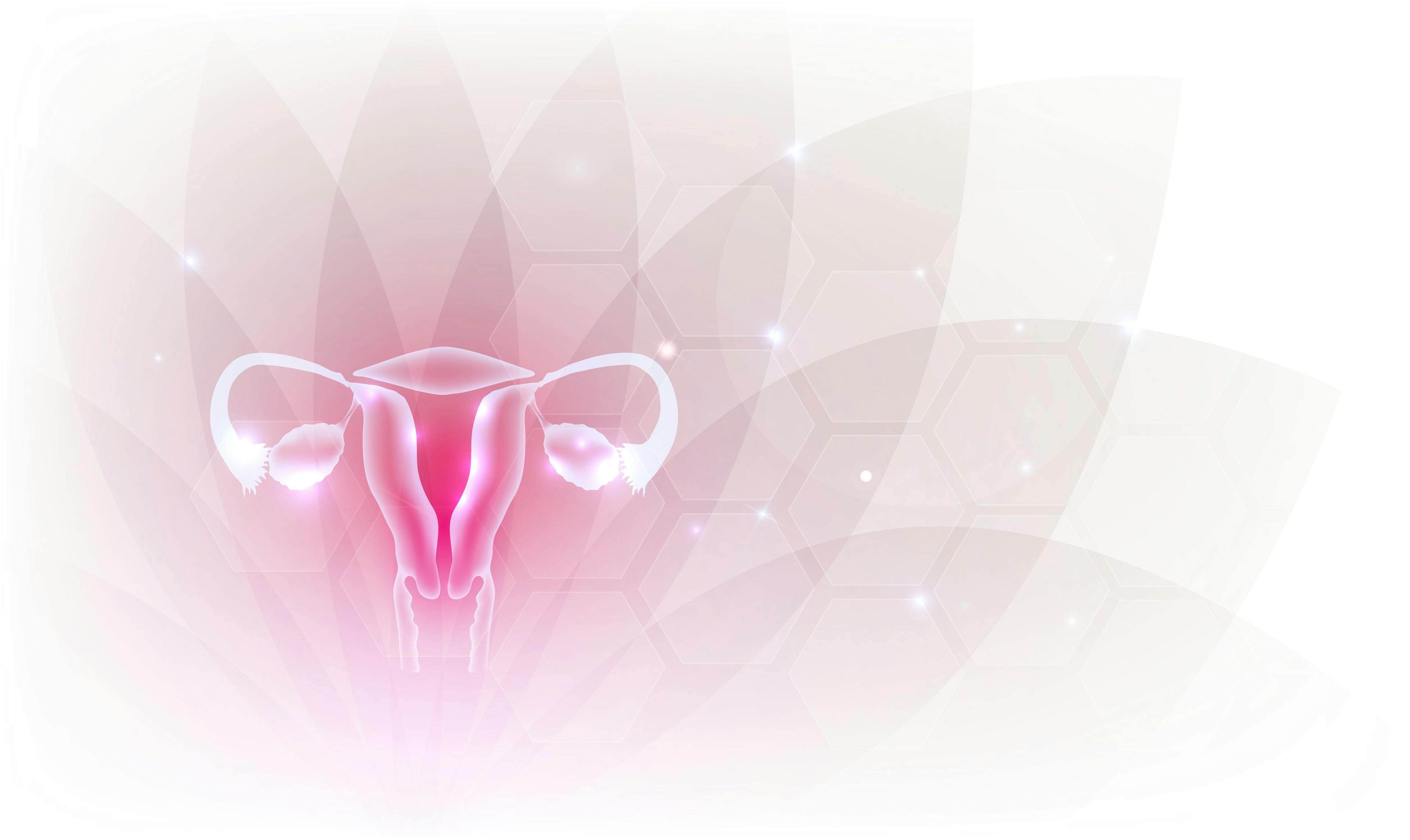 Female reproductive organs, artistic design, transparent flower at the background: © reineg - stock.adobe.com