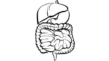 Tislelizumab With Chemotherapy Improves OS in Advanced Gastric/GEJ Cancer