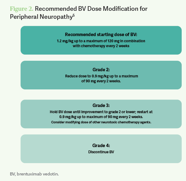 Table. Recommended BV Dose Modification for Peripheral Neuropathy