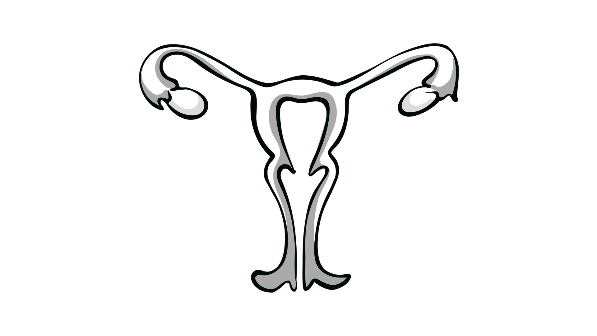 Sketch of female reproductive system